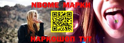 гашик Кингисепп