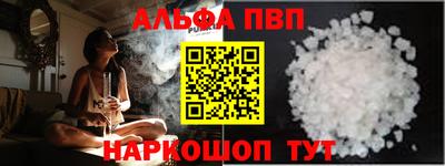 гашик Кингисепп