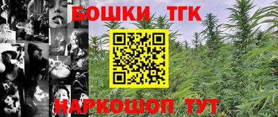 гашик Кингисепп