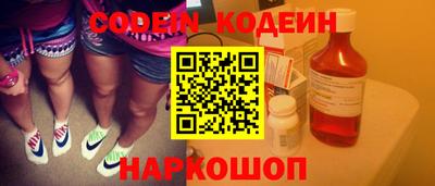 гашик Кингисепп