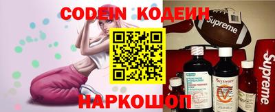 гашик Кингисепп