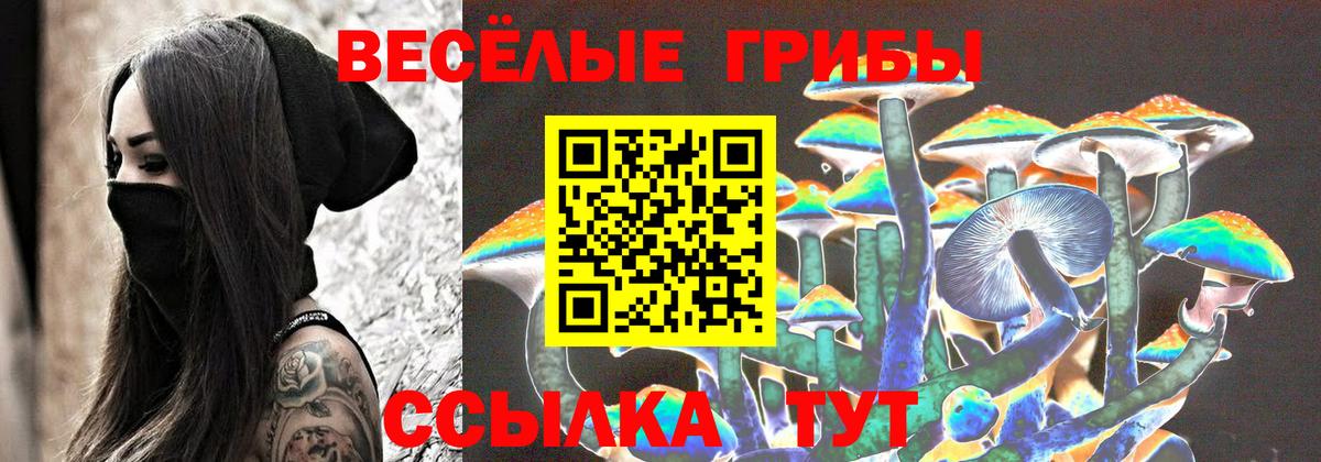 Галлюциногенные грибы Psilocybine cubensis  купить наркотики цена  Кушва  Вход с VPN 