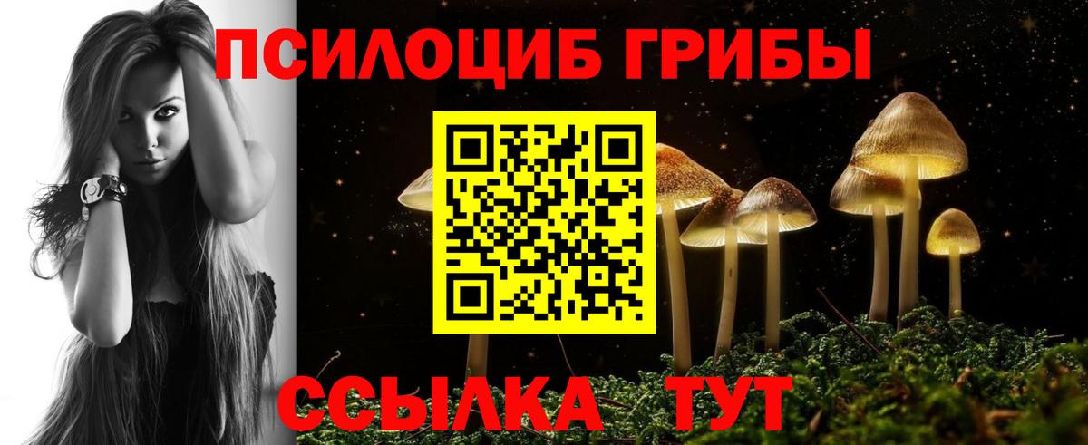 Псилоцибиновые грибы MAGIC MUSHROOMS Кушва